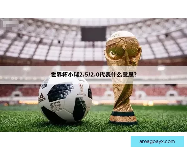 世界杯体育竞猜盘口分析与技巧攻略助你精准预测赛事结果